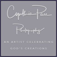 Cynthia Pace Photography -  South Carolina Premier Children & Family Portrait Artist