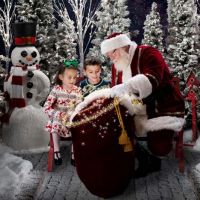 The Best Santa Experience 2021