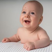 Luca2025