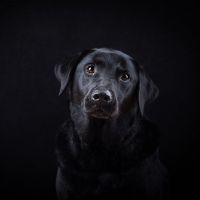 My Portfolio